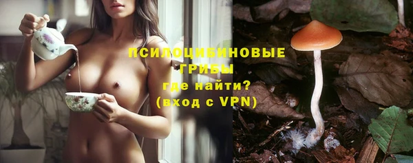 крисы Бугульма