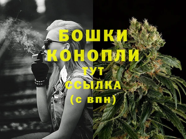 крисы Бугульма