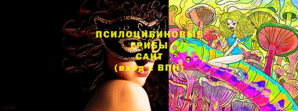 крисы Бугульма