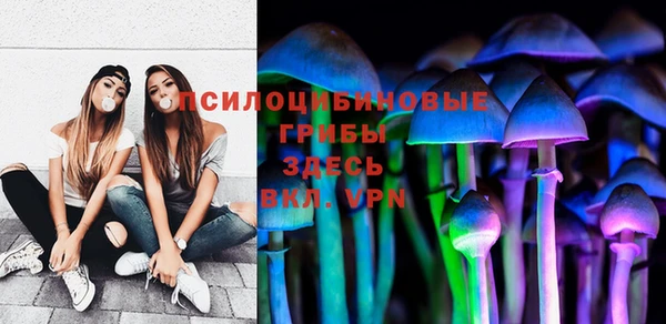 прущая мука Бородино